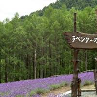 海の日うみへ行くin富良野7月2016