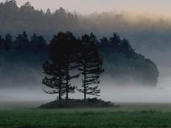 ☆尾瀬の夏