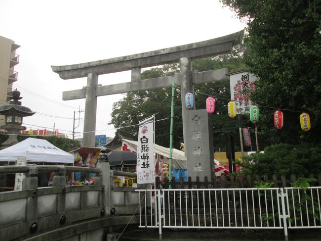 雨の例大祭・白旗まつり　源義経ゆかりの白旗神社　