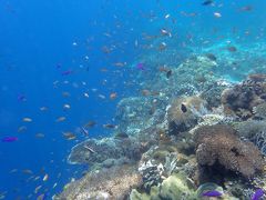 ボホール島の旅（４）～バリカサグ島３日目～