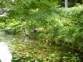 関の旅行記
