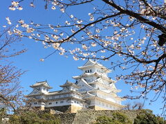 改装された姫路城に行ってきました