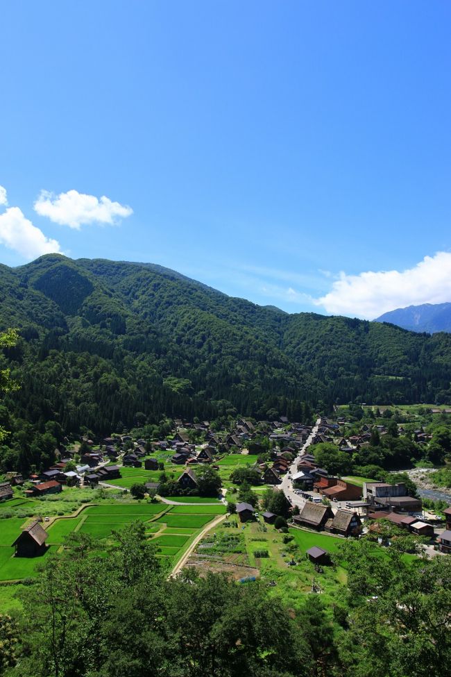 前々からずっと行ってみたかった合掌造りの集落白川郷。自分が住んでいる千葉県からだと東京から特急で高山を目指すか名古屋まで行ってそこから上を目指すかのルートしかなかった。<br /><br />しかし、北陸新幹線が開業し新高岡駅からバスで目指すルートがあると知った。<br />これなら乗り換えとかもほとんどいらないし行きやすそう。<br /><br />どうせだったら晴れの日の白川郷が撮影したい！と思い天気予報とにらめっこ。<br />去年も一度計画をしたが天候が悪く断念していた。<br /><br />今年は天候とホテルの宿泊先も都合が良かったので2、3日で計画を立てて行って来た。<br />やはり独身は身軽だ（笑）