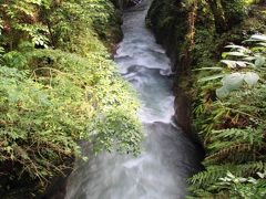 鹿児島・宮崎周遊③霧島神水峡・霧島神宮