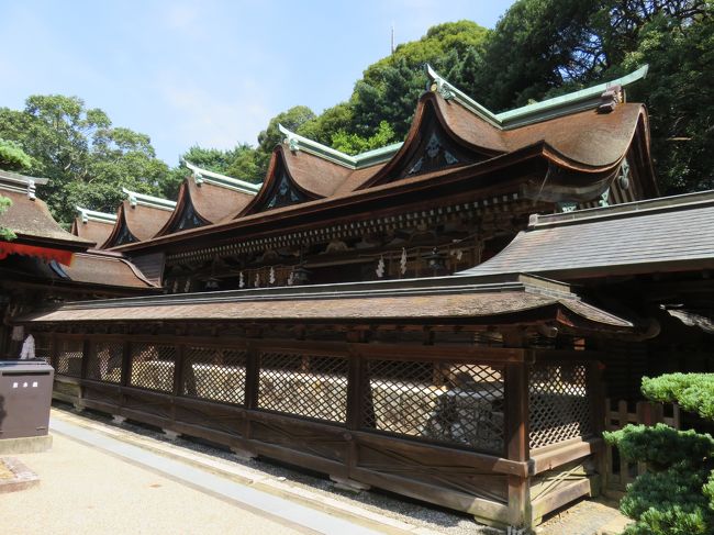 この神社は長い間、行ったことがなかったが、久しぶりに再訪し、その素晴らしさに改めて感激した。流石国宝だけのことはあると納得。小ぶりながら凛とした美しさが漂う。室町時代初期、１３７０年に大内弘世が本殿を創建したそうだ。その後、拝殿は、毛利元就が１５３９年に寄進したとのこと。毛利が萩に閉じ込められる前に、この地に創建した拝殿があったとは認識していなかった。<br /><br />正月も、近くにある赤間神宮や亀山八幡宮のほうにいく習慣になっているからだろう。それに、つい歴史的エピソードの迫力あるところに惹かれる傾向も認めざるを得ないだろう。下関や萩はどうしても、歴史エピソード的に有名な訪問地が中心で、観光的には、それほどは一般受けはしないと認めざるをえない。<br /><br />そういえば、山口県は国宝建築が３カ所しかないのだった。長府の功山寺が一番古くて、鎌倉時代末期の１３２７年の創建。続いてこの住吉神社が室町時代初期の１３７０年、さらに山口の瑠璃光寺は１４４２年の創建だ。江戸時代には贅沢な建築は、外様の毛利には作れなかったのだろう。萩城は廃城令で解体されたし、他の建築物も今一つだ。最近見た萩の毛利の菩提寺である東光寺も結構荒れている。