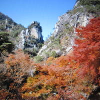 晩秋の甲府.....昇仙峡を訪ねて