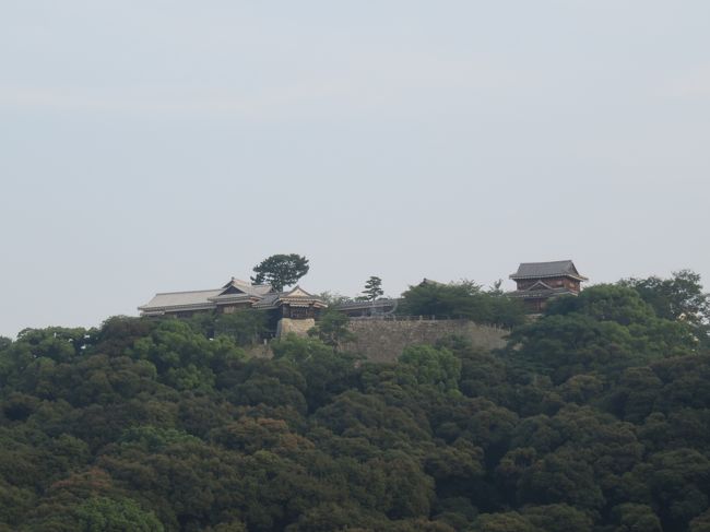 表紙の写真は、宿泊したカンデオホテル松山大街道の<br />部屋（11階）から撮った写真（ズームあり）です。<br /><br />今回も去年の岡山に引き続き、<br />ＪＡＬのダイナミックパッケージ利用して<br />愛媛県へ1泊2日で行って来ました。<br /><br />行程は<br />行きが、ＪＡＬ４３１　東京(羽田)07:25発→松山08:50着<br />帰りが、ＪＡＬ４４０　松山19:00発→東京(羽田)20:30着<br />宿泊は、カンデオホテル松山大街道／朝食付きです。<br /><br />ここ最近は、サッカー観戦を行程に組み込んだ<br />旅行が出来ていませんでした。<br />なので、久しぶりのサッカー観戦を行程に入れた<br />旅行です。<br /><br />なぜ、松山へ観戦かというと、その日に松山で試合が<br />あったからと言えばそうなんですけども、<br />初めて飛行機に乗って行ったのが松山でした。<br />（社会人になってからで、全日空の超割でした。）<br /><br />思い出の地に久しぶりに行きます。<br />前回の2日間は、ずっと雨でしたが<br />今回は2日間は、晴れてくれました。<br /><br />暑さにバテた所もありましたが、<br />自分らしく旅行が出来ました。<br /><br />