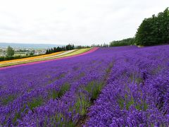 ファーム富田”彩りの畑”へ一泊二日の旅