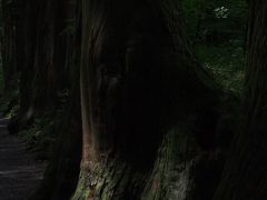 お天気ナナメなら、戸隠神社！？