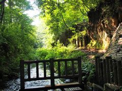 東京・玉川上水～夏の木陰道をゆらゆらウォーキング