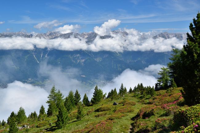 　連れ合いが、とうとう還暦を迎えた。そのお祝いを兼ねてスイス旅行以来3年ぶりにヨーロッパに一ヶ月旅行に出かけた。またスイスへという気持ちも無くはなかったが、３回行っているので別の国に浮気するのも悪くはない、しかし夏のヨーロッパアルプスの美しさは忘れがたい・・・ということで、今回のメインはチロルとザルツカンマーグートでのハイキング三昧。だが、一か月間ず〜っとハイキングというのは、飽きるし年も取ったので体が持たない。そこで前半はハイキングをメインに、後半はウィーンとプラハを拠点に欧州の歴史に思いをはせる都市観光ということにした。<br />　旅のスタイルは、スイスと同様、貸別荘を借りての自炊生活。食事の準備という煩わしさはあるが、なにしろ年金生活の身分、費用を抑えるためにはホテル代と外食を減らすのが一番！ピークシーズンの2週間ほどの平均的パックツアー料金で一ヶ月滞在できるのである。それに山のレストランの高いばかりで、たいして美味しくないランチより、連れ合いの手作り弁当の方が元気が出る。<br />　ウィーン、プラハでも、同じコンセプトで都市型ホリディアパートメントを借りての節約型滞在である。結果的には、ホイリゲやホスポダを飲み歩き、あまり外食費用の削減にはならなかったが・・・<br />個人旅行の常で、思わぬトラブルにも見舞われたが、それも帰国後は良い思い出になっている。<br /><br />まずは、旅行全体の概略をザルツカンマーグート、チロル編とウィーン・プラハ編２部に分けてダイジェストで紹介しておきたい。<br /><br />今回の日程は、以下の通り。どの日にどこに行くかを全て事前に決めていたわけではなく、宿泊施設と概略だけを定め、後はその時々の天気と気分で行先や出かける時間は臨機応変に決め、結果的にこのようになったという次第。<br /><br />6/22　ＫＬＭにてアムステルダム経由ミュンヘンへ<br />6/23　ノイシュバンシュタイン城、ヴィース教会、オーバーアマガウ、リンダーホフ城観光<br />6/24　ミュンヘン市内観光<br />6/25　ミュンヘン→バート・イシュル移動、自炊準備<br />6/26　ハルシュタット岩塩坑、村内散策<br />6/27　バート・イシュル　温泉と市内観光<br />6/28　ゴーザウでハイキング<br />6/29　クリッペンシュタイン氷の洞窟とハイキング<br />6/30　ザルツブルク観光<br />7/1　バート・イシュル→テルフェスへ移動、自炊準備<br />7/2　ノルトケッテでハイキング<br />7/3　スワロフスキークリスタルワールド、インスブルック市内観光<br />7/4　パッチャーコーフェルでハイキング<br />7/5　シュレック２０００でハイキング（クロイツヨッホ、ゼンヨッホ）<br />7/6　エルファーシュピッツェでハイキング<br />7/7　ゼルレスでハイキング<br />7/8　シュレック２０００でハイキング（フローネベンベルグ）<br />7/9　シュトューバイアー氷河トレッキング、<br />7/10　テルフェス→ウィーン移動、自炊準備<br />7/11　ウィーン旧市街（リンク内）観光、夜はシュトマードルフのホイリゲへ<br />7/12　美術史博物館、オペラ座見学等　夜はグリンツィングのホイリゲへ<br />7/13　シェーンブルン宮殿など　夜はウィーンの夜景撮影<br />7/14　カールス教会、午後はウィーンテルメの温泉プールでのんびり<br />7/15　メルク修道院、ドナウ川下り、デュルンシュタイン散策、夜はカールス教会でコンサート<br />7/16　ウィーン→プラハ移動、自炊準備<br />7/17　フラッチャニ地区観光、夜はホスポダへ<br />7/18　旧市街観光など、夜はホスポダで軽く飲んでからエステート劇場でオペラ鑑賞<br />7/19　モラビアへ撮影ツアー、ミクロフ散策、夜はホスポダへ<br />7/20　プルゼニュへエクスカーション、ビール工場、地下道見学<br />7/21　エールフランス機にて帰国、22日成田着<br />　　