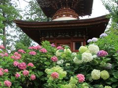 久米寺であじさい観賞。「古事記」を編纂した太安万侶、稗田阿礼に縁のある多神社（おおじんじゃ）、賣太神社（めたじんじゃ）を参拝しました。龍田神社にもお参りしました。