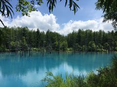 再訪！パワースポット～美し過ぎた青い池と美瑛神社とポケモンGO