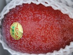 ＡＮＡ特典で宮古島に行った同僚に乗り継ぎ時間を利用して、ＪＡいとまんうまんちゅ市場でマンゴーを宅配してもらいました！今年初の沖縄産マンゴーです♪続編～味のレポートです♪