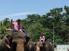 勝浦でゲストハウスに宿泊 ゾウとホタルとタンタン麺
