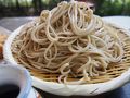 調布・狛江の旅行記