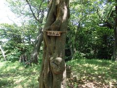 源氏山登山と寺院参拝と観アジサイ