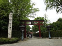 つつじ祭の時期は朝がお勧め～根津神社