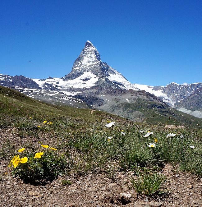 2016年の7月中旬の晴天が続く時期を狙って、スイスなどヨーロッパアルプスのトレッキングに出かけました。旅行期間中は、事前の天気予報よりも天気が良く、7日間晴天続きで、その間毎日トレッキングに明け暮れることになりました。第五部は、ツェルマットでのトレッキングの前半部分の旅行記です。（表紙写真は、快晴の空に聳えるマッターホルン）<br /><br />旅行の全日程は以下の通り。<br /><br />7月14日　羽田　0:30ー（エミレーツ航空、ドバイ経由）－＞13:15 ジュネーブ着（空港でレンタカー借り出し）。<br />ジュネーブ空港ー(車)ー＞エランの谷。　（エヴォレーヌ泊）<br /><br />7月15日　エヴォレーヌー(車)－＞アローラ。アローラ周辺をトレッキング後、車でグイユまで戻り、ラック・ブルーまで往復トレッキング。（エヴォレーヌ泊）<br /><br />7月16日　エヴォレーヌー(車)－＞（アニヴィエの谷）グリメンツ。<br />グリメンツからロープウェイでCol de Soreboisそば(Contrate)まで上がり、そこからCol de Soreboisまで往復トレッキング。<br />グリメンツー(車)ー＞ツィナール。（ツィナール泊）<br /><br />7月17日　ツィナールー(車)ー＞サン・リュク。ケーブルカーでTignousaへ。<br />そこからBella Tola小屋を経て、Bella Tola湖まで往復トレッキング。（ツィナール泊）<br /><br />7月18日　ツィナールー(車)ー＞テッシュー(電車)ー＞ツェルマット。<br />ツェルマットからゴルナーグラート鉄道でローテンボーテンへ。<br />ローテンボーテンからリッフェルアルプまでトレッキング。（テッシュ泊）<br /><br />7月19日　再びツェルマットヘ。さらにスネガケーブルカーとテレキャビンでブラウヘルドへ。<br />ブラウヘルドからシュテリゼー、グリンゼー、ライゼーを経由してスネガまでトレッキング。（テッシュ泊）<br />7月20日　テッシュー(車)ー＞グラン・サン・ベルナール峠ー(車)ー＞クールマイヨール（イタリア）。<br />車でフェレの谷に入り、ラヴァケイまで移動後、ボナッティ小屋まで往復トレッキング。（クールマイヨール泊）<br /><br />7月21日　クールマイヨールー(車)ー＞シャモニー（モンブラントンネル通過）。<br />レ・プラーズからテレキャビンでフレジェール、さらにリフトでランデックスまで上がり、そこからラック・ブランを経由してフレジェールまでトレッキング。（アルジャンティエール泊）<br /><br />7月22日　アルジャンティエールー(車)ー＞サン・レオナール（スイス） （地底湖見学）。サン・レオナールー(車)－＞モラン（シエール）。（モラン泊）<br /><br />7月23日　モランー(車)ー＞ヴベー(チャップリンの墓）－(車)ー＞ローザンヌ(ノートルダム大聖堂）ー(車)ー＞トロシュナ（オードリーへプバーンの墓）。（ローザンヌ泊）<br /><br />7月24日　ローザンヌー(車)－＞ジュネーブ空港（レンタカー返却）。<br />ジュネーブ15:15 ー(エミレーツ航空、ドバイ経由）ー＞（25日）17:30 成田着。<br />