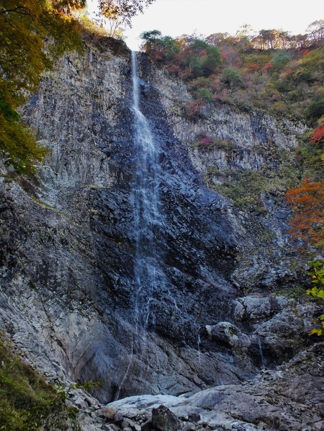 公に認められている四国一、及び四国最大の滝は、石鎚山西の西ノ冠岳（1894ｍ）に源を発す高瀑（たかたる）と言う名の直瀑型滝で、落差132ｍを誇る。この落差は岩盤の高さでもあるが、その衝立のような崖の幅は約100ｍという巨大さ。<br /><br />しかし雨の少ない夏場は水量が少なく、滝は滝壺に達する前に霧散する。が、水溜り程度の滝壺側の岩に立てば、滝のミストシャワーを浴びることができ、心地よい。<br /><br />滝は加茂川上流の高瀑渓の最上流域、標高1350ｍほどの地に位置しており、そこへは「高瀑自然研究路」を1時間20分ほど歩いて行かなければならないが、高瀑渓には多くの無名の滝が懸かり、また、川床がウォーターシューターのように滑らかになった箇所も複数あり、景観が優れている。<br /><br />因みに高瀑が「公認」の四国一の滝なのに対し、「非公認」の滝は落差200m以上のものが複数存在する。高知県一の滝の旅行記で馬路村の200m超滝は触れたが、愛媛県内にも同様の規模のものは存在する。それは瓶ヶ森東之川登山コース沿いの東谷川上流部。いくつもの谷が集まっていることから、大雨が連日続くと落差200mクラスの滝が出現すると言われている。名付けるとしたら「東谷大滝」か。<br /><br />この高瀑自然研究路に至る未舗装の石鎚林道は’04年8月の台風で一部が陥没し、復旧するのに5年を要した。私は復旧の一年前、陥没場所から林道を一時間以上歩いて行ったが、復旧後も複数回訪れている。これらを一つの旅行記として纏めたため、夏と秋の写真が混在する。<br /><br />秋に訪れた時の車での帰路、県道142号の虎杖(いたずり)地区で、加茂川の対岸寄りに魚の形に似た巨石があったため、駐車して写真を撮った。<br />また、その東の河口(こうぐち)地区では三碧峡(さんぺききょう)や廃道の連続する素掘り隧道を巡った。<br />三碧峡の「三つの碧(みどり)」とは、加茂川の水の碧、周辺の木々の碧、「伊予の青石」で知られる緑色片岩の碧を指す。<br /><br />　［車でのアプローチ］<br />　西条市の国道11号、加茂川橋交差点から国道194号に折れて南下する。その後、石鎚山方面の標識を見て県道12号に右折。<br /><br />　河口地区の三叉路では高瀑の標識を見て、県道142号に右折。県道は３キロ弱ほどで終わり、未舗装の悪路の石鎚林道に変わる。<br />尚、当サイトの「観光地」としての「高瀑渓谷」の位置は実際とは異なる。実際の自然研究路入口はもっと南方の左ヘアピンカーブ地で、未舗装の駐車場やトイレがある。<br /><br />高瀑自然研究路は、一般的な観光地の遊歩道とは異なる。昭和期は石鎚山や西ノ冠岳、二ノ森への登山コースの一つとして利用されており、沢の渡渉等もあるので、トレッキング・シューズや地形図「石鎚山」を用意した方が良い。一応、各分岐には道標が建っている。<br />尚、高瀑から上の登山コースは昭和末頃の台風で崩壊し、廃道化している。<br /><br />高瀑自然研究路のコースガイドについては<br />http://www.yamareco.com/modules/yamareco/detail-238250.htmlを参照。