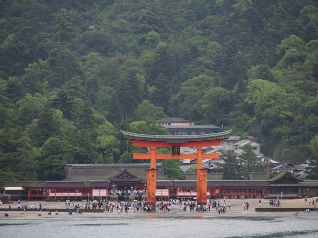 飛行機で広島に行くツアーが12000円!<br /><br />一度は訪れてみたかった厳島神社と広島ドームに行ってきました。<br />格安ツアーで不安でしたが・・結果とても満足の行く旅となりました。