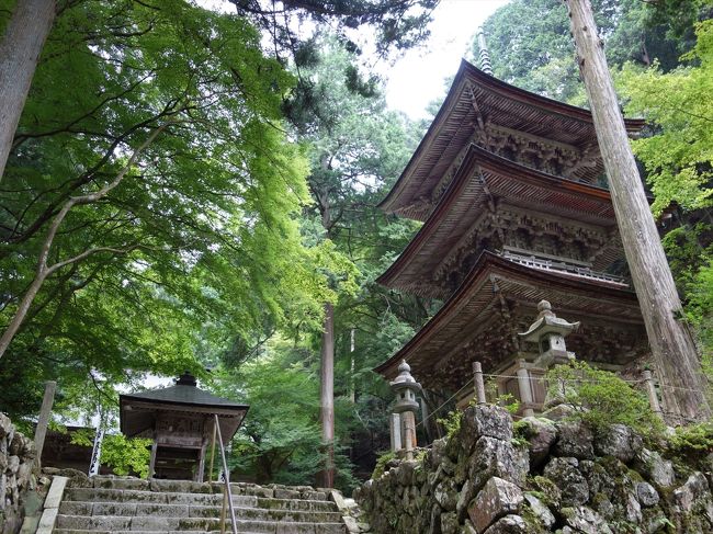 横蔵寺には即身仏が安置されておりお参りに。