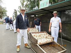 マデイラ諸島の旅行記