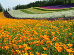 芦別 - 富良野 - 美瑛 - 滝川