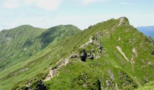 夏の谷川岳へ  色とりどりの高山植物探しての山歩き。