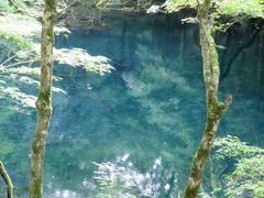 東北一周の旅・・・行きあたりばっ旅中！　白神山地～津軽半島　竜飛岬編！