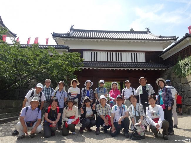 15夏の花旅 2 美ヶ原高原 美ヶ原高原 長野県 の旅行記 ブログ By Morino296さん フォートラベル 15夏の花旅 2 美ヶ原高原 美ヶ原高原 長野県 の旅行記 ブログ By Morino296さん フォートラベル