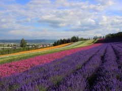 美瑛・富良野お花畑をめぐる旅　ファーム富田