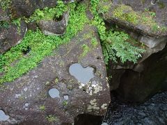 仙台～松島、そして・・・