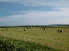 北海道.道の駅めぐり車中泊旅行１泊２日(2016.7.16-17): 道北編　夏の稚内は熱いぞヽ(^。^)ノ