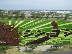 東北一周の旅・・・行きあたりばっ旅中！　田舎舘村　田んぼアート編！