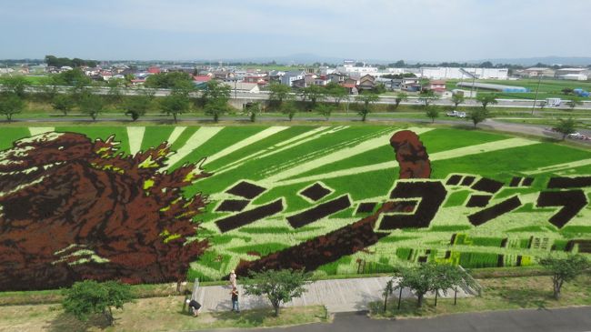 田舎舘村　田んぼアート編！