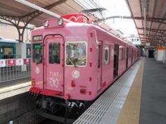 楽しい乗り物に乗ろう！　　南海電鉄「めでたいでんしゃ＆サザン」　　～和歌山～