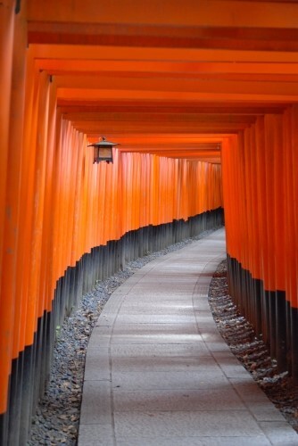 一度は行ってみたかった伏見稲荷大社。<br />覚悟はしていたけどとにかくすごい人込みだった!