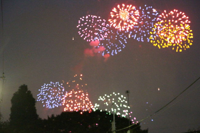 毎年恒例の板橋区の花火大会を見てきました。<br />会場の荒川河川敷までは直線で約３〜４Kmですが、首都高速の高架が邪魔になり、我家から見ることができません。<br />花火大会が開始されてから、出高速の高架を越え、会場の手前２Kmぐらいの道路沿いから花火を見物です。<br />少し距離が離れているため、スターマインなどの低く小さな花火は良く見えませんでしたが、それなりに楽しめました。<br />約３０分ほど見学し帰宅しました。