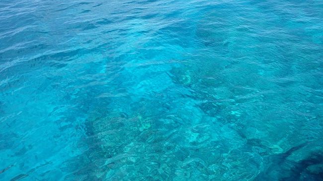 初めての沖縄旅行 個人手配で格安 小学生の子連れで沖縄の海を満喫 1日目 那覇 沖縄県 の旅行記 ブログ By Milaさん フォートラベル