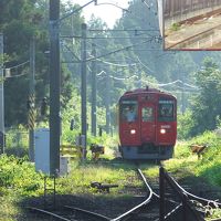 ふっこう割でいく週末の熊本大分弾丸旅行　その１　熊本城を見る