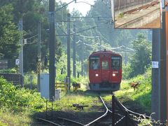 ふっこう割でいく週末の熊本大分弾丸旅行　その１　熊本城を見る