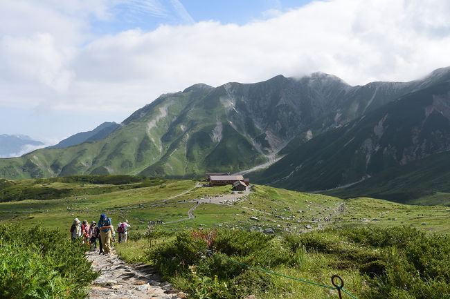 社員旅行でいってきました<br />はじめての立山<br />雪模様の雷鳥撮影です