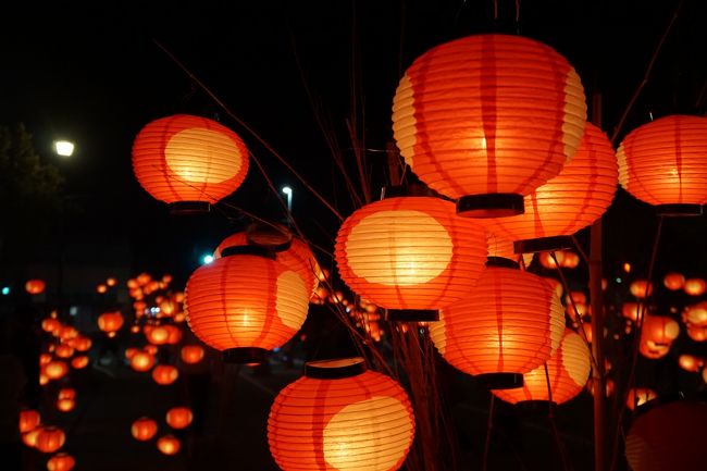 宇部から萩 山口ちょうちん祭りと徳山の旅 三日目 夜 提灯は単色なんですが これが和の美 夏の夜に重なり合った朱の明かりがどこまでも優しく郷愁を誘います 山口市 山口県 の旅行記 ブログ By たびたびさん フォートラベル