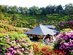 ☆美しい新緑の奥多摩　その3　塩船観音寺と日原鍾乳洞☆