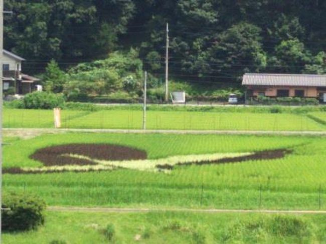 母の故郷へ一年ぶりに帰ってきました。母と子供たちと一緒です。昔は気丈だった母もすっかり老いてきました。<br />来年も再来年も一緒に帰郷できるようにと願ってます。そんな今回の旅で、息子はおじさんの畑で収穫のお手伝いをさせていただきました。<br />そして、昨年は湯の原オートに宿泊したのですが、今回は但東町のシルク温泉のロッジで宿泊。<br />ＢＢＱをして温泉に入ってゆっくりしました。<br />来年も旅できますように。