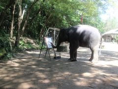 タイ（バンコク＆チェンマイ）女1人旅☆2日目～エレファントキャンプと首長族に会ってきました～