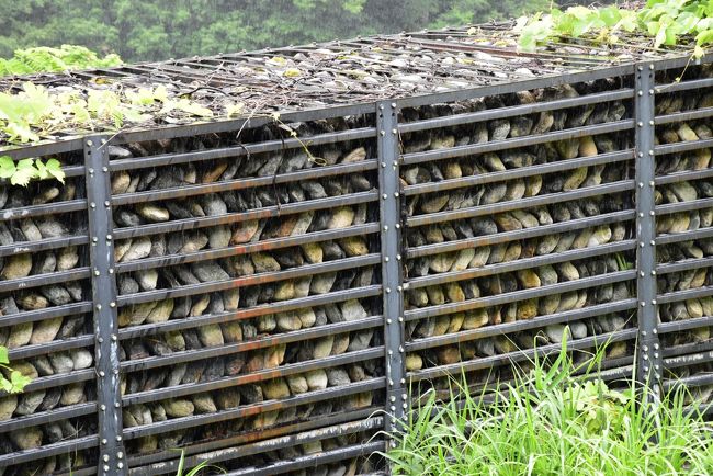 長野県小谷村（おたりむら）では、地元ガイドが案内する「大自然を満喫できる現地ツアー」をいくつか開催しています。<br />その中のひとつが、「土木アート砂防ダム巡りバスツアー」です。2016年は7月に4回開催され、7/9のツアーに参加しました。<br /><br />小谷村は山と谷に囲まれた地質の弱いところで、豪雨などによる土石流が自然の驚異となり、以前から砂防堰堤（さぼうえんてい、砂防ダム）が建設されてきました。<br />砂防堰堤は、設置される周囲の環境から工法が異なり、さまざまな形状の堰堤がまるで土木アートのように見えます。<br />ツアーでは10種類の砂防堰堤をバスで巡り、中にはカーブがきつくバスがスイッチバックしながら上がる山道もあり、隠れた人気ツアーになっています。<br /><br />そして、今日の宿、下里瀬（くだりせ）温泉「サンテ・イン・おたり」では温泉と夕食に満喫し、たった１両で走る大糸線ディーゼルカーを部屋から眺めることができます。<br /><br />砂防堰堤の説明は、ツアーでいただいた資料をもとに作成しています。　　<br />