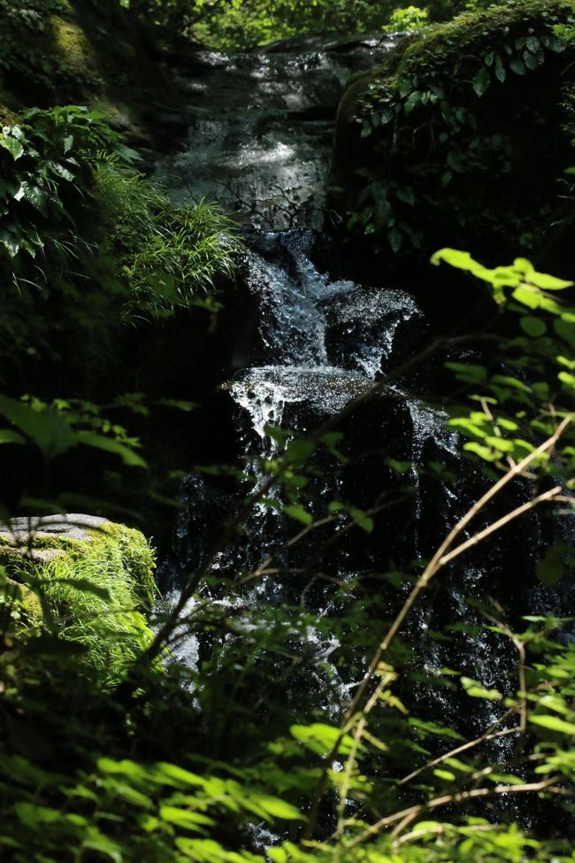 蒸し暑さから解放。<br /><br />赤目四十八滝へ。<br /><br />