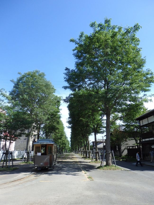 2016年２回目の北海道の旅。<br />到着した１日目は、北海道開拓の村で開拓時代の建築物の雰囲気を満喫したあと、夕張に行き、石炭・歴史博物館と夕張メロンに触れてきました。